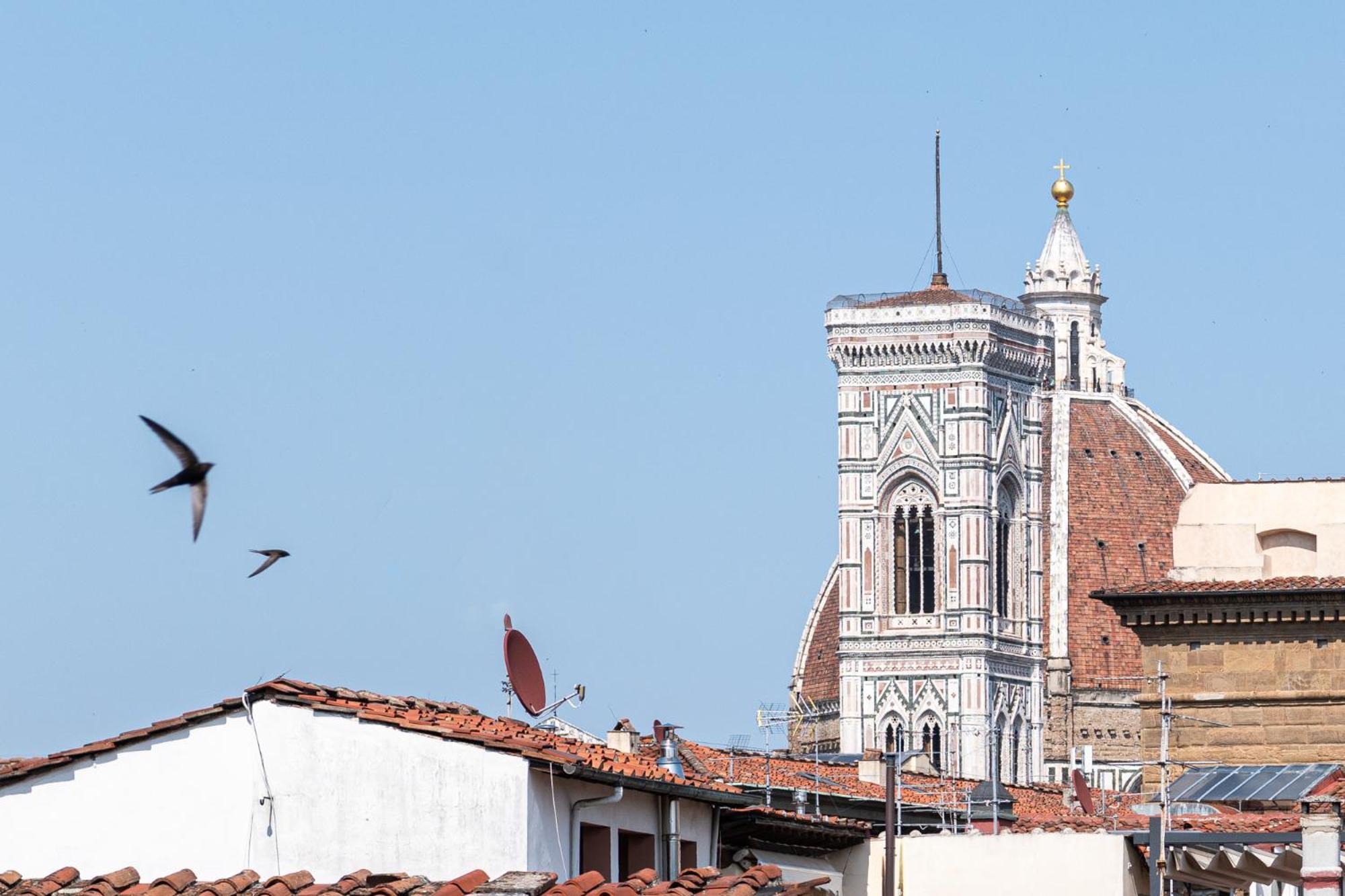 Apartmán Parione Loft In Town Center Florencie Exteriér fotografie